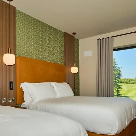 Motel Hazel Tree