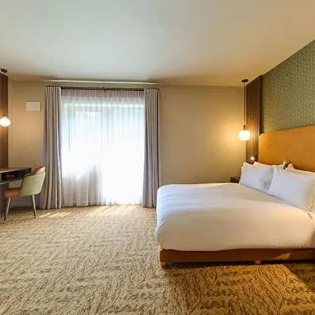 Motel Hazel Tree